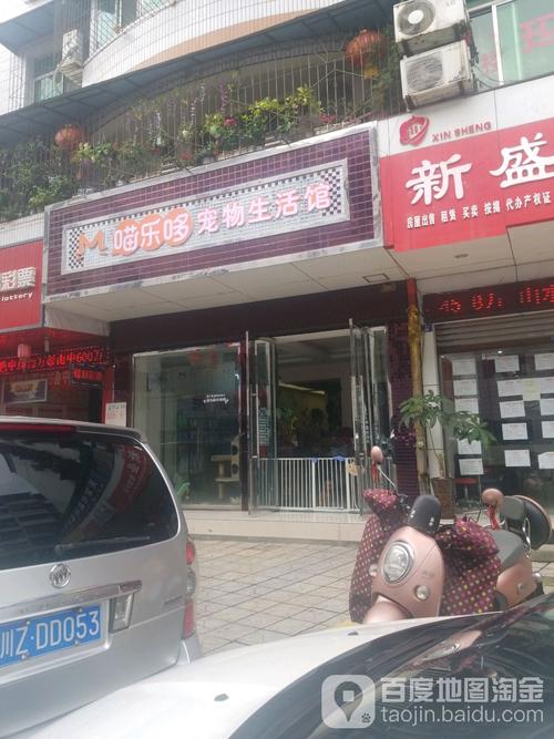 喵乐哆员宠物生活馆,电话,路线,公交,地址,地图,预定,价格,团购,优惠,